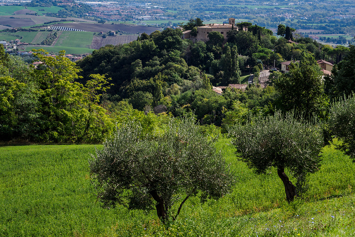 montegridolfo